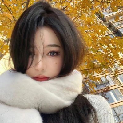 特洛伊艾迪 海报